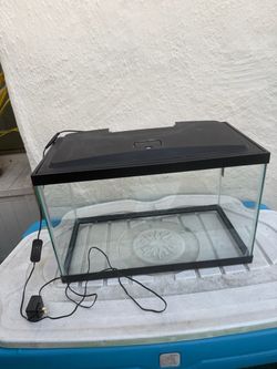 Everything you need for a freshwater fish