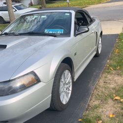 Mustang Gt 2003 Manual 