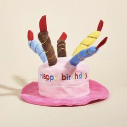 Plush Birthday Cake Novelty Hat with Candles, Adjustable Strap, One Size
