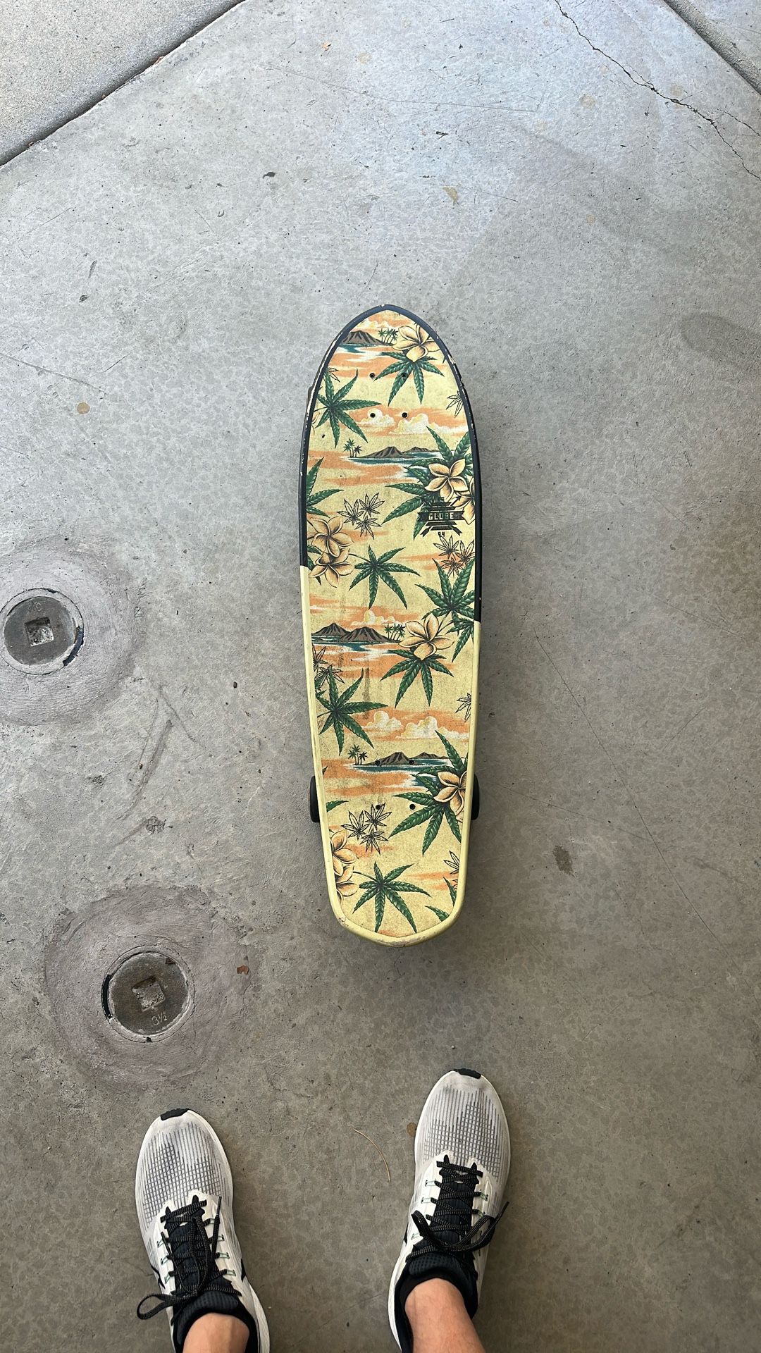 Globe Skateboard Cruiser