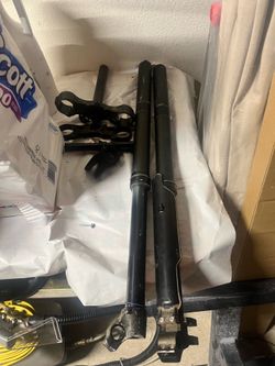 Dnm forks