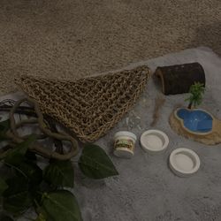 Aesthetic Reptile Set Up 