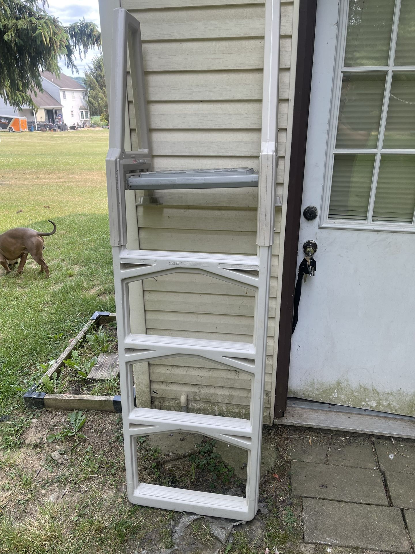 Pool Ladder (deck)