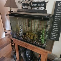 20 Gallon Fish Tank
