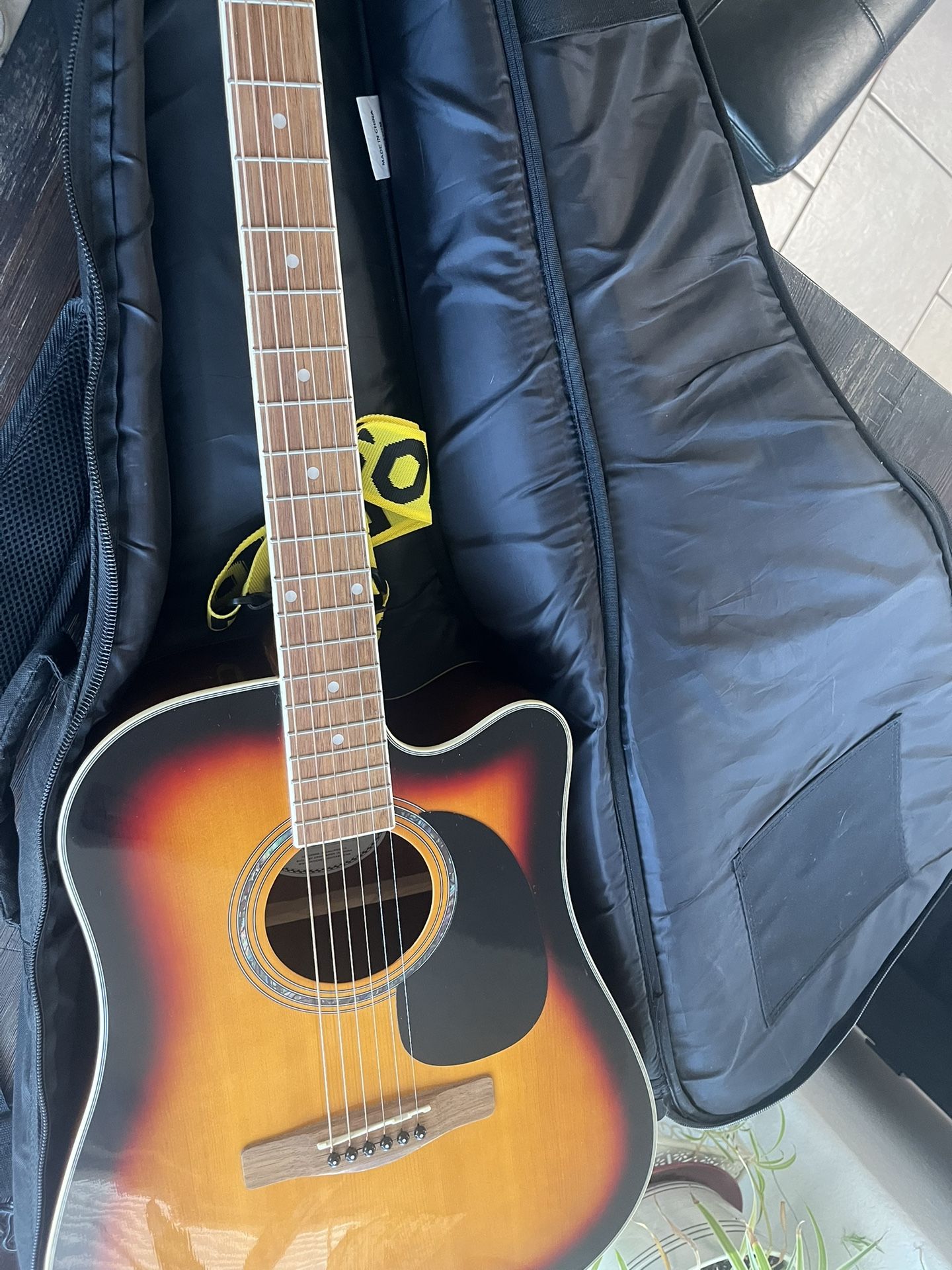 Mitchell Guitar And Case