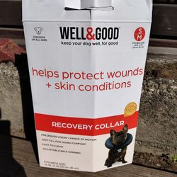 Recovery Collar