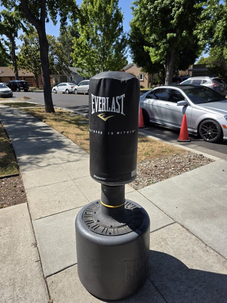 Everlasting Punching Bag