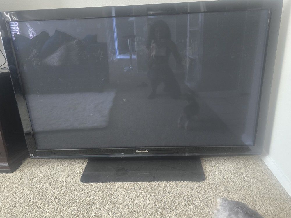 Panasonic Flat Screen TV 