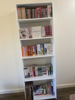 Manga lot