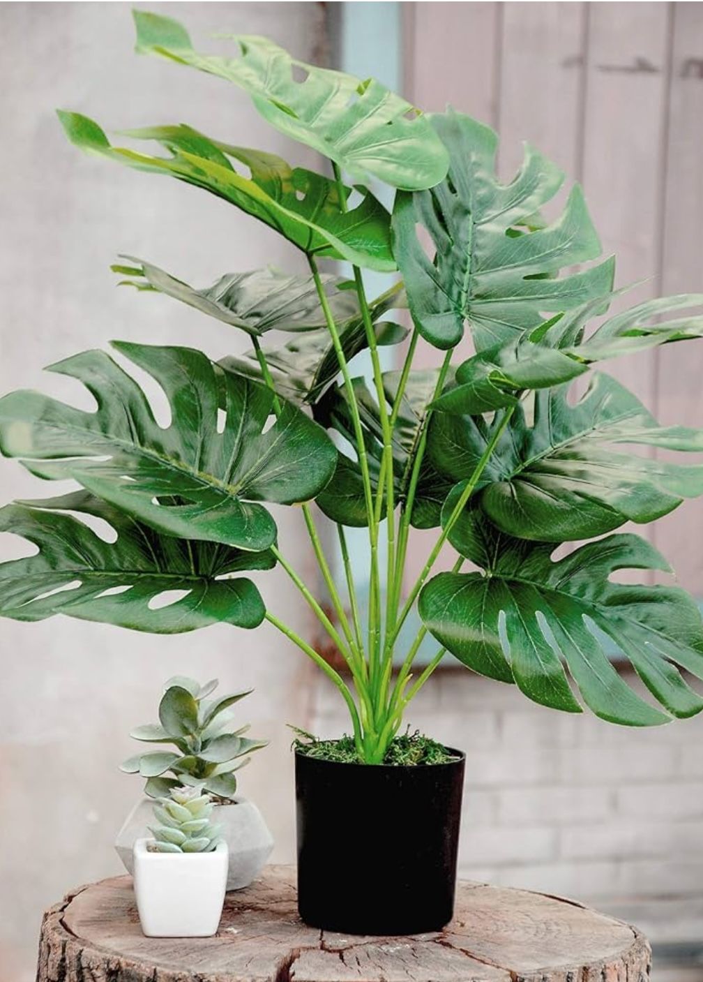 Fake plants