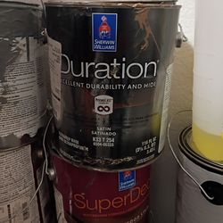 2 gallons paint