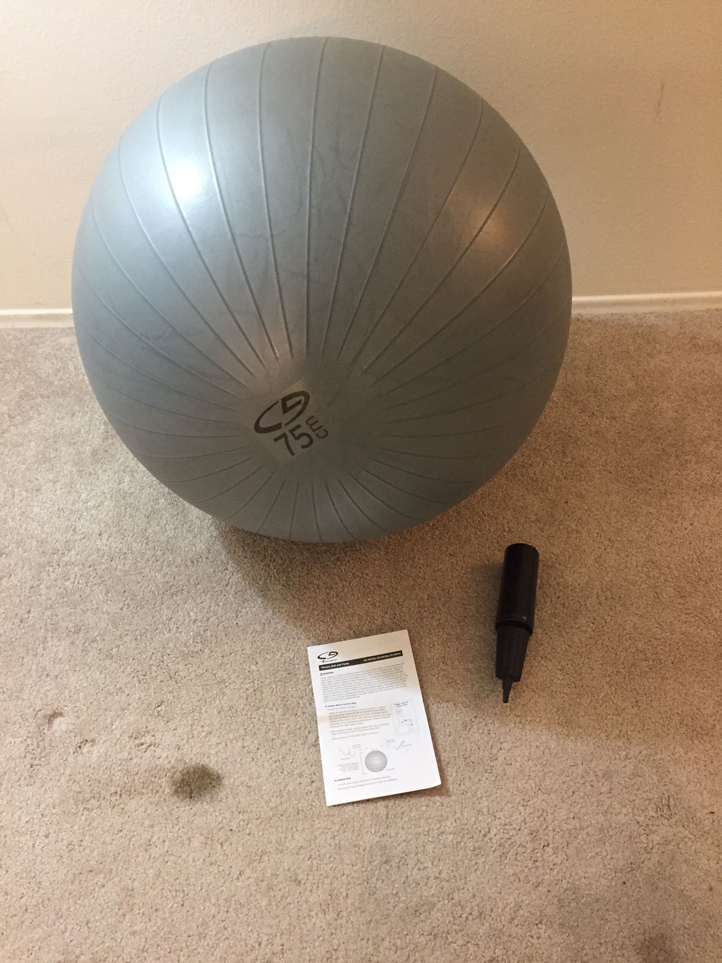 Exercise Ball With Pump