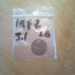 1982 Penny No Mint Mark