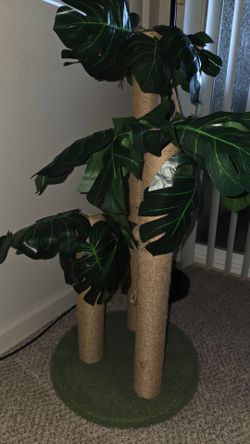 Cat scratch stand toy