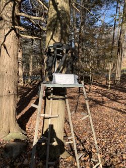 Tree stand