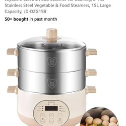 Joydeem Steamer