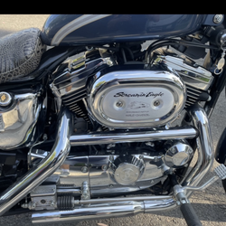 2003   Harley  davison   Limited   Edition