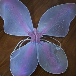 Fairy Wings  For Children $3