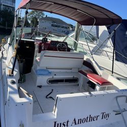 1989 SEA RAY Sundancer 220   5.7 mercruser