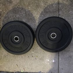 Pair of 45 Lb Olympic Bumper Plates 