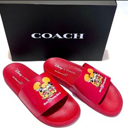Coach x Disney Leather 50th Anniversary Sliders/Sandals, NWB/Sandalias nuevas en caja. Size/talla 10