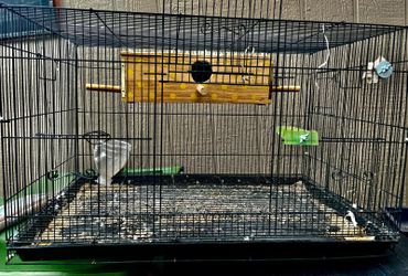 Jaula Para Pajaros