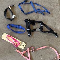 Dog Harnesses and Collars.