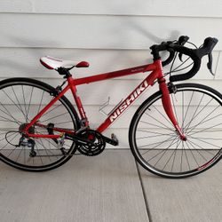 Nishiki Maricopa Bike Small Frame 