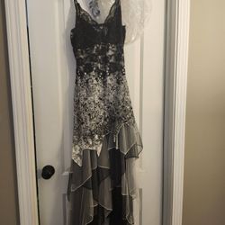 Beautiful Dress Worn 1x