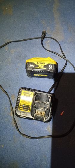 Dewalt battery with charger