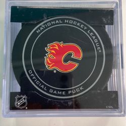 National Hockey League Game Puck