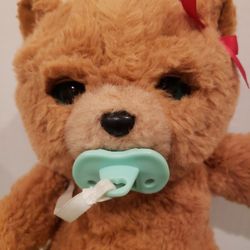 Little Live Pets Realistic Baby Teddy Bear 9 Inch Plush. M 