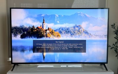LG 70-inch Flat Screen TV with Stand