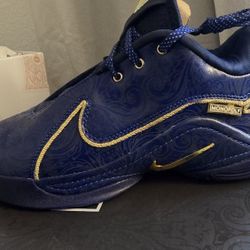 Nike Zoom LeBron 22 Token Size 8