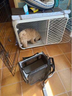 Dog crate -Diggs Evolve crate- ~36lb dog ($475 value)