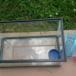 HAMSTER 🐹 EVERYTHING! BEDDING  ALSO 