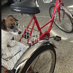 Red Summit Adult Trike With Baskets