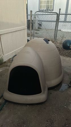 Dog house