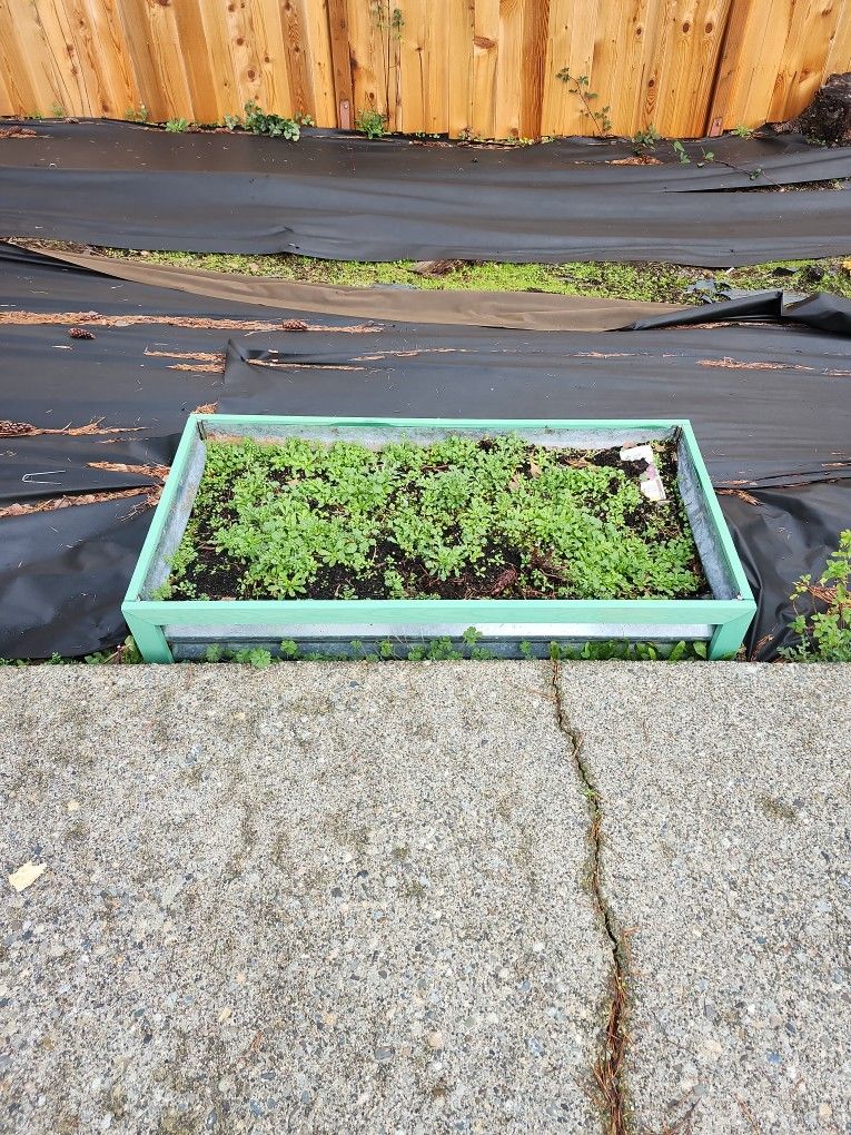 Raised Garden Bed