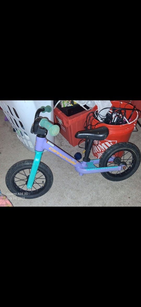 Lil Kids Cannondale Push Bike