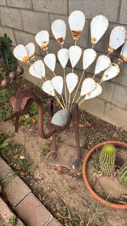 Peacock and cactus
