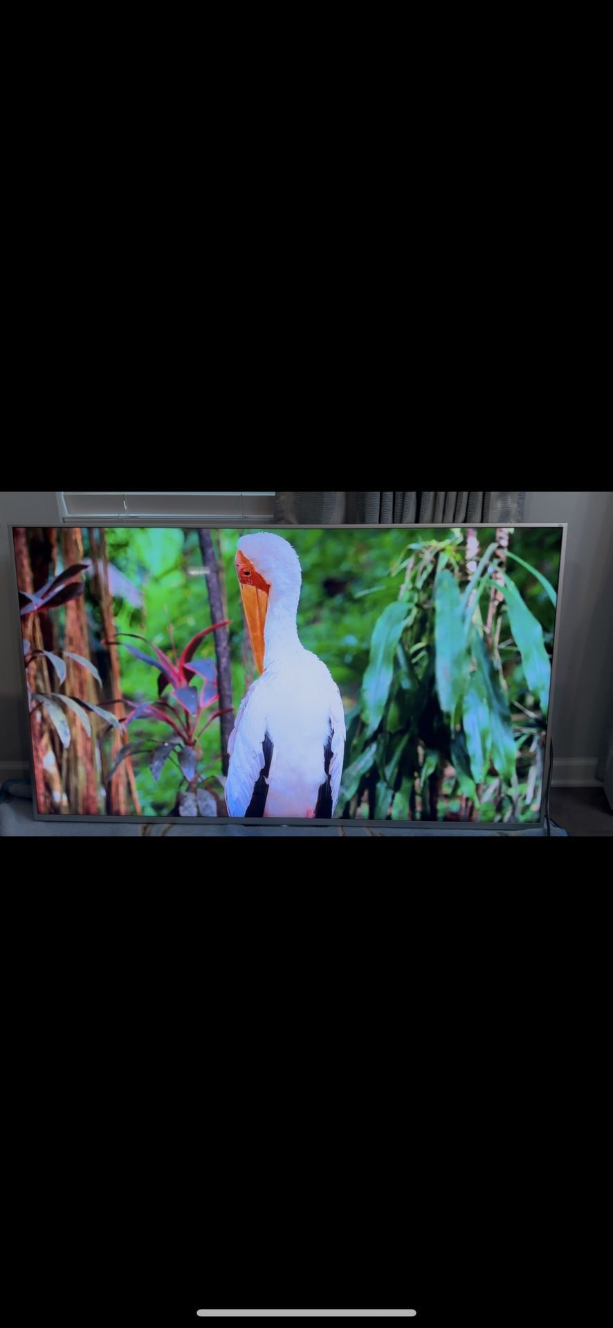 55’ Sony 4K Smart TV