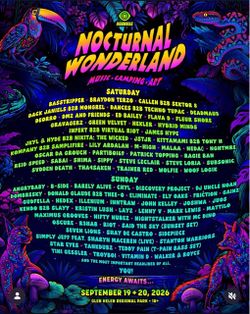 Nocturnal Wonderland 2 day Wristband