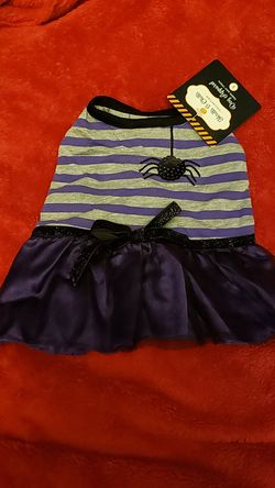 Halloween Dog Apparel