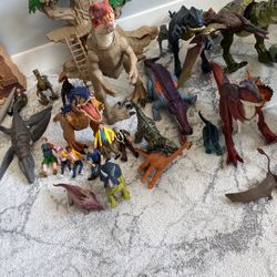 Dino Collection 