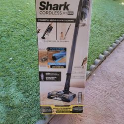 Shark