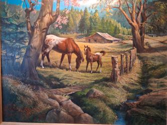 Spring Colt. .oil painting original  approximate  1983