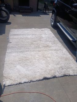 Big Area Rug