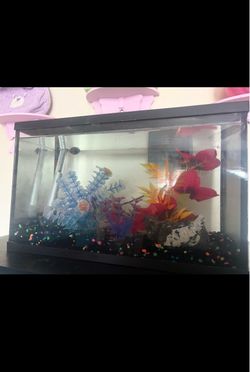 15-20 gallon Fish Tank