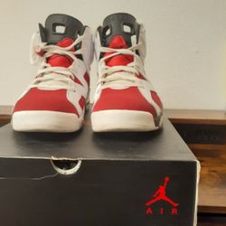 Jordan Retro 6 Carmines 